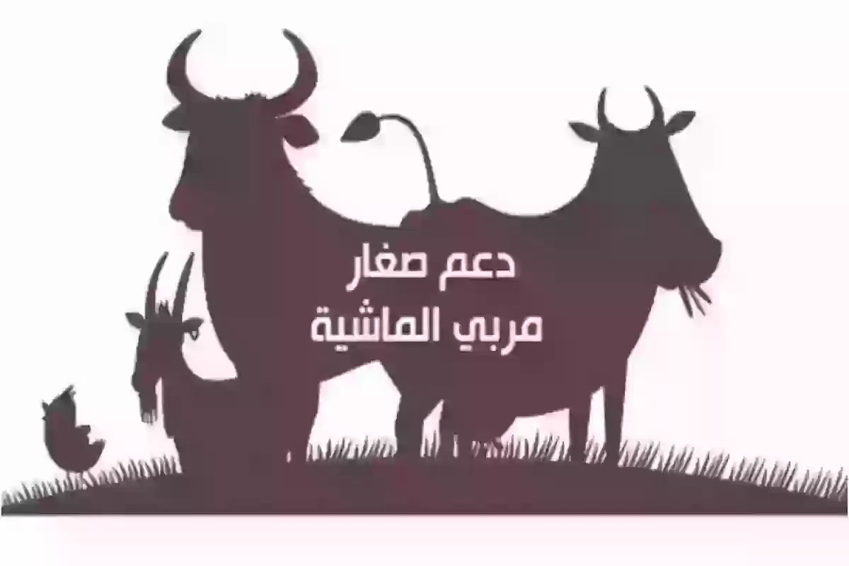 بخطوات بسيطة .. التسجيل في دعم المواشي 1445 mewa.gov.sa