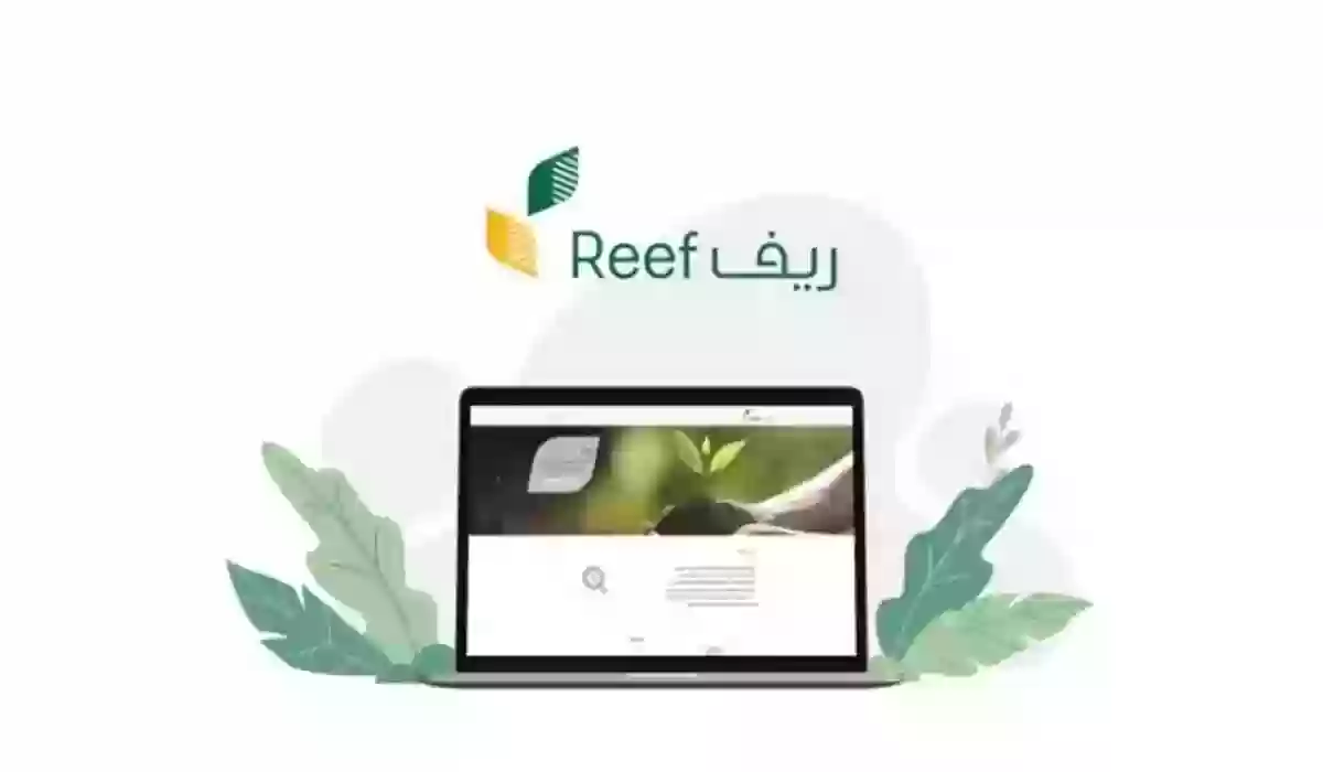 استعلام عن دعم ريف متى ينزل؟ موعد نزول دعم ريف للأسر المنتجة هذا الشهر