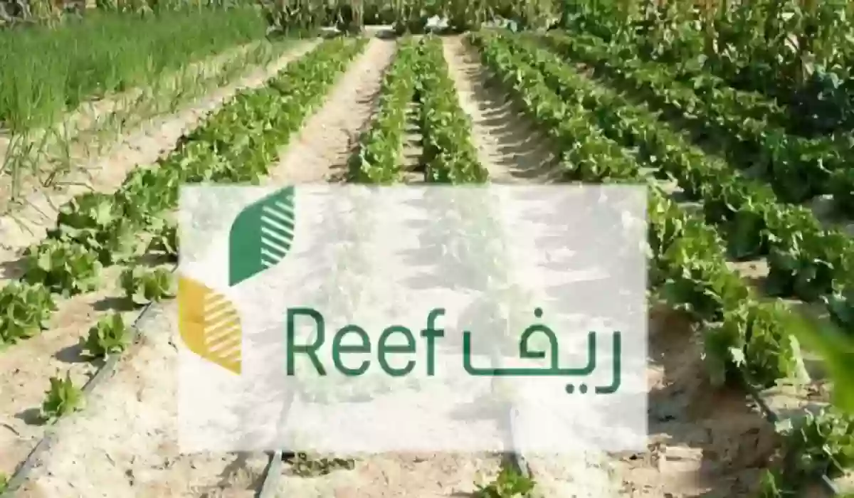  التقديم على دعم ريف في السعودية