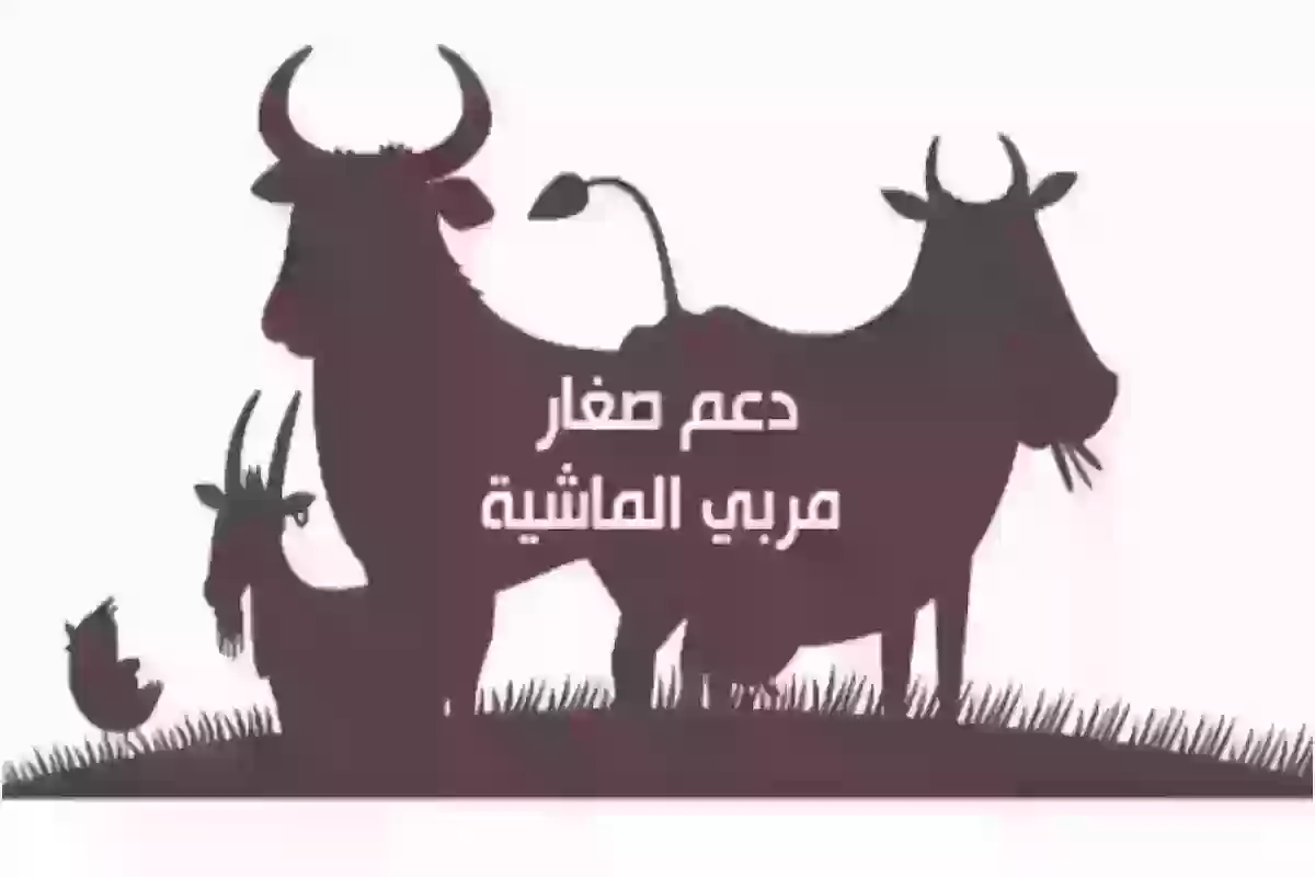 البيئة: يمكن التقديم على دعم المواشي من خلال هذا الرابط