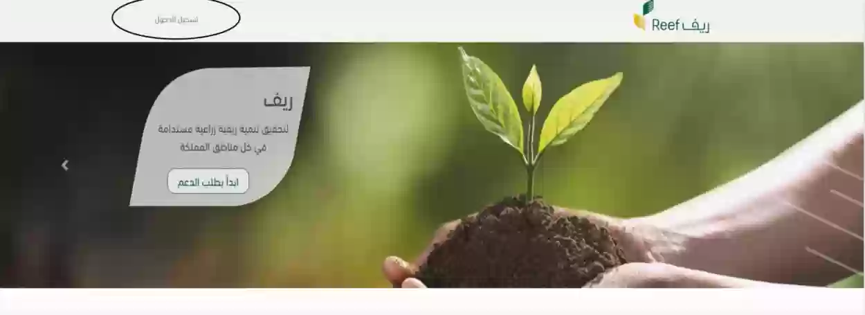 الفئات المستحقة لدعم ريف