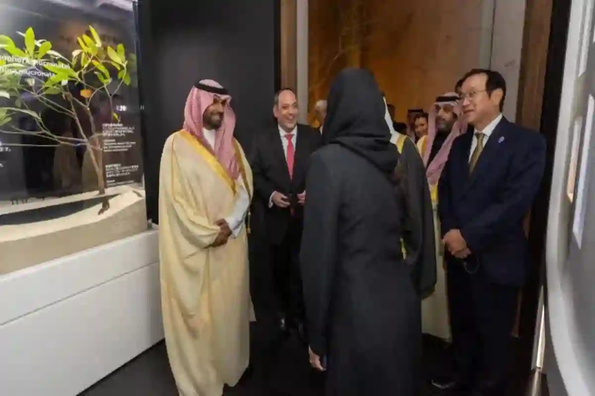  الصندوق الثقافي يعلن مشاركته في معرض إكسبو الدولي 2025 بالجناح السعودي