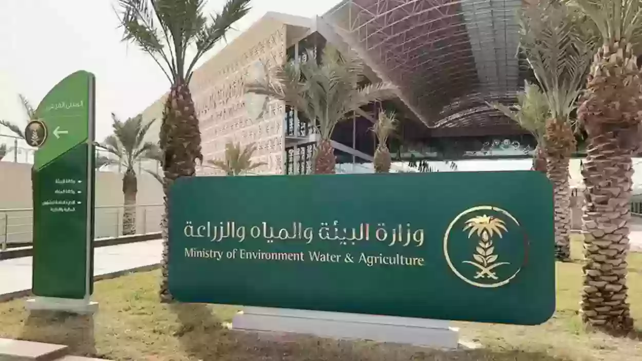 التواصل مع دعم مربي المواشي