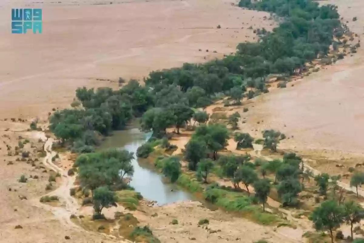 بتهمة الصيد في محمية الملك عبد العزيز