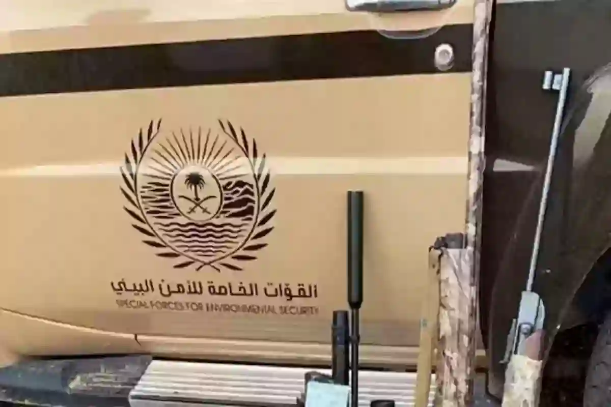  الأمن البيئي