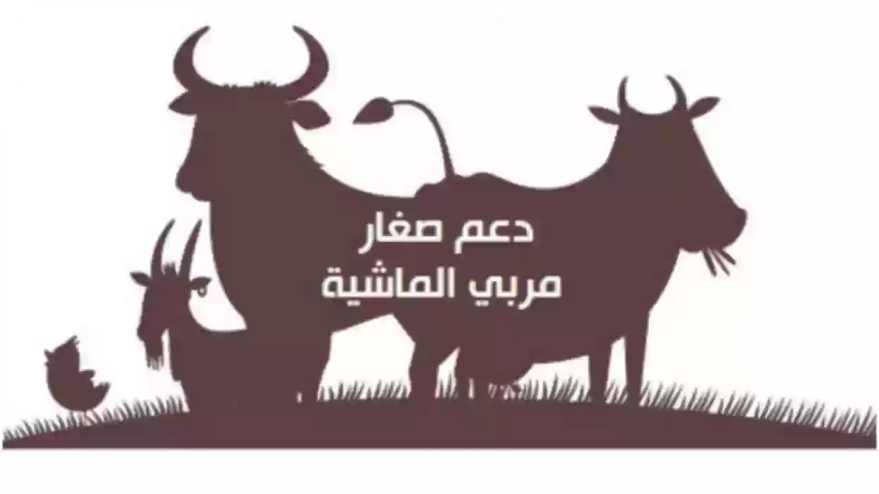 خطوات ورابط الاستعلام عن دعم ريف في السعودية 2023-1445