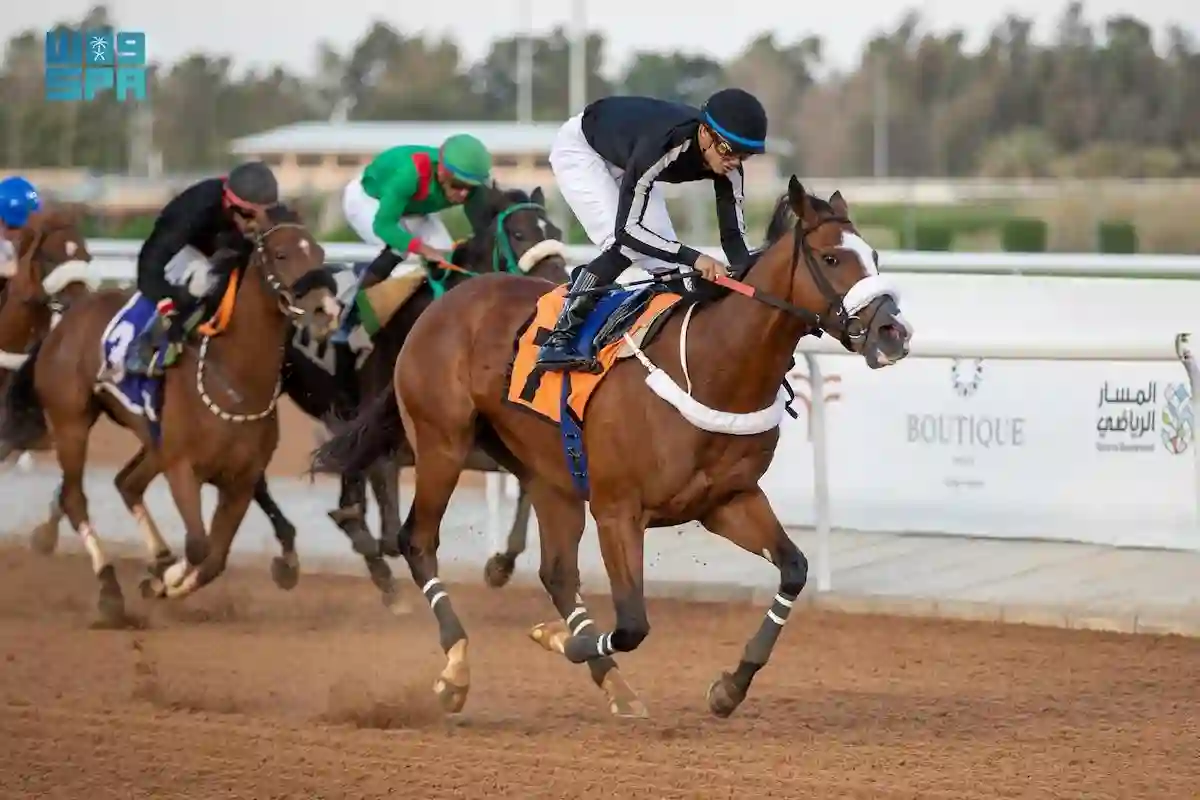 نادي سباقات الخيل يطرح وظيفة شاغرة في مدينة الطائف بالسعودية 1446