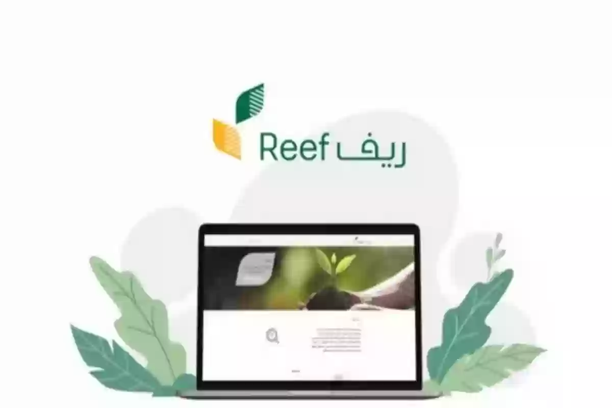 حالات إيقاف دعم ريف تُعلن عنها وزارة البيئة والمياه والزراعة